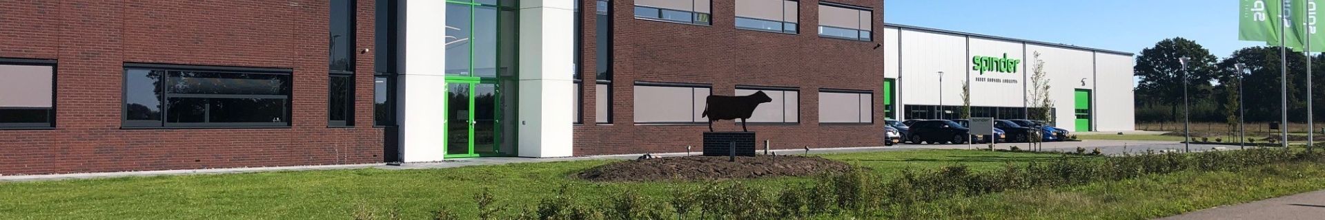  Die Spinder-Kuh ist an ihrem neuen Platz in Drachten angekommen