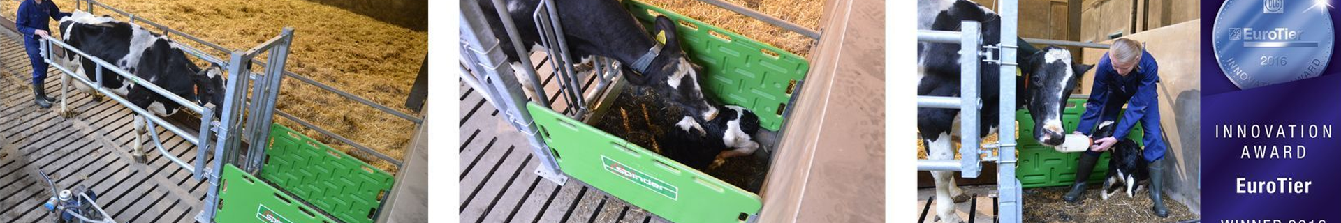 individuele-aandacht-cuddle-box-spinder-dairy-housing-concepts