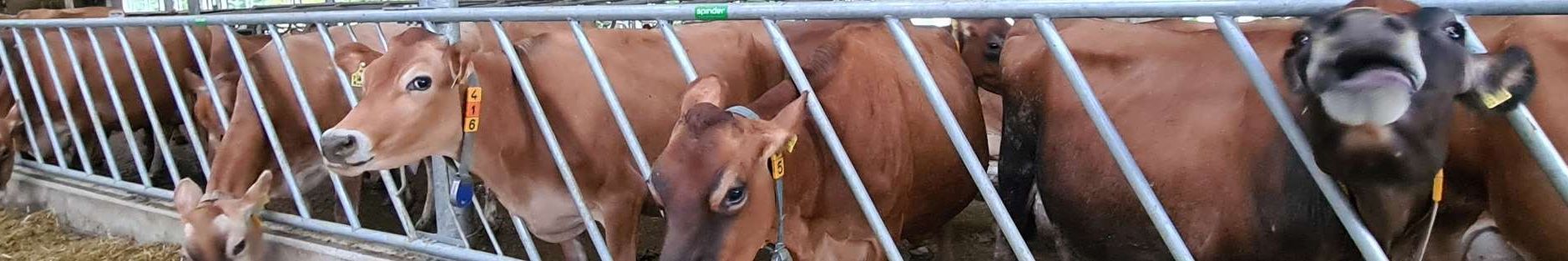 Landwirt im Bild: Familie Leurs