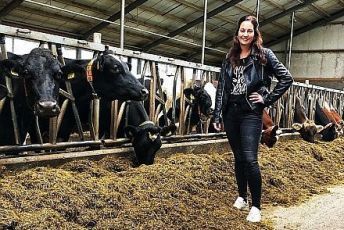  Marianne Deelstra aus Reitsum setzt auf Spinder Stalleinrichtung