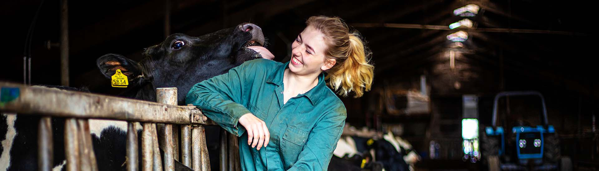 Spinder bietet ein Gesamtkonzept mit Produkten für den Stall, die der Kuh und dem Landwirt gleichermaßen gerecht werden.