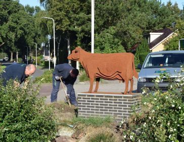 De Spinder koe wordt in Harkema uitgegraven.