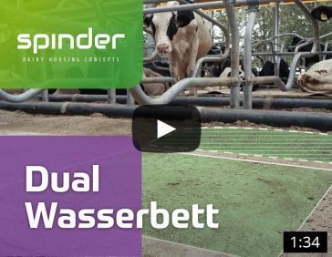 Video Dual Wasserbett