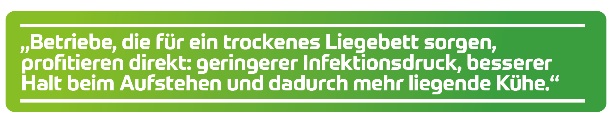 Vorteile trockener Liegefl&auml;chen