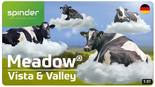 Meadow Vista & Meadow Valley video - NL