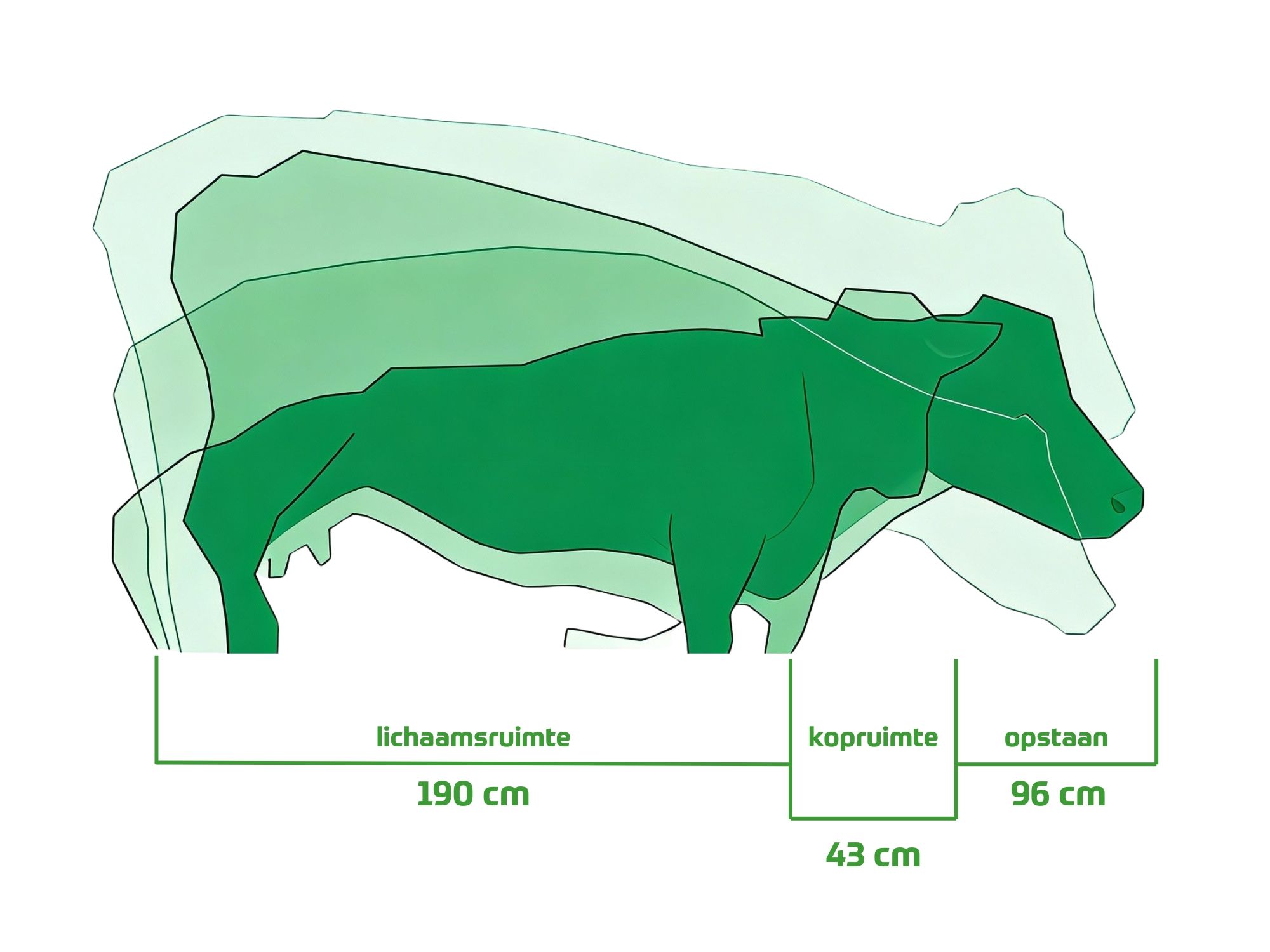 Klauengesundheit Lahmheit Kuhe - Lahme K&uuml;he Klauenprobleme