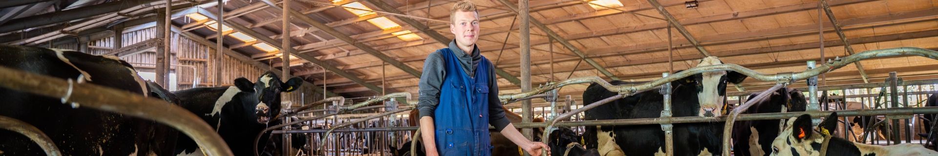 Milchviehbetrieb Couperus