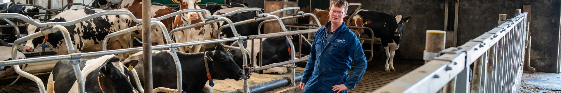 Renovierung Trockensteherstall Kelder Valthermond