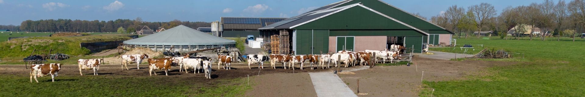 Renovierung des Trockensteherstalls bei Klein Hegeman