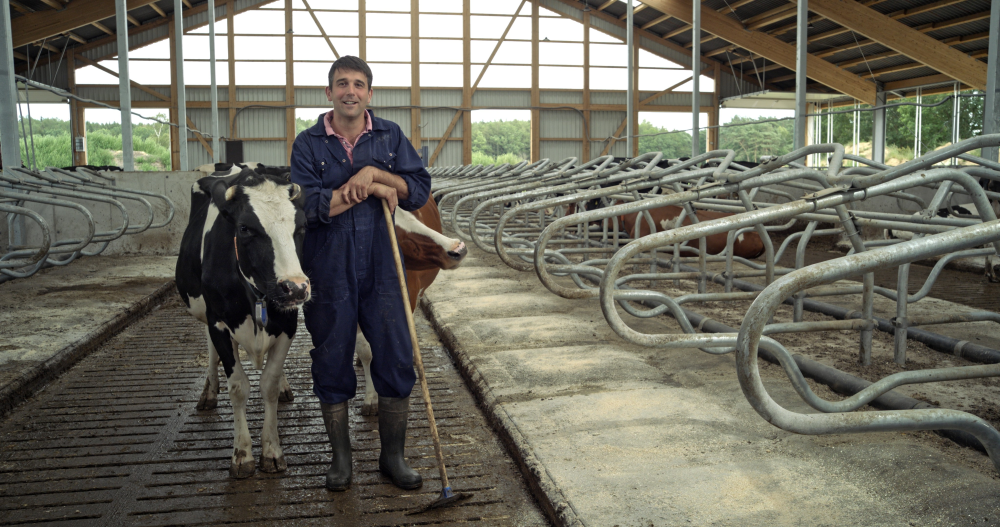 Jurian Kosters mit Kuh im Bild
