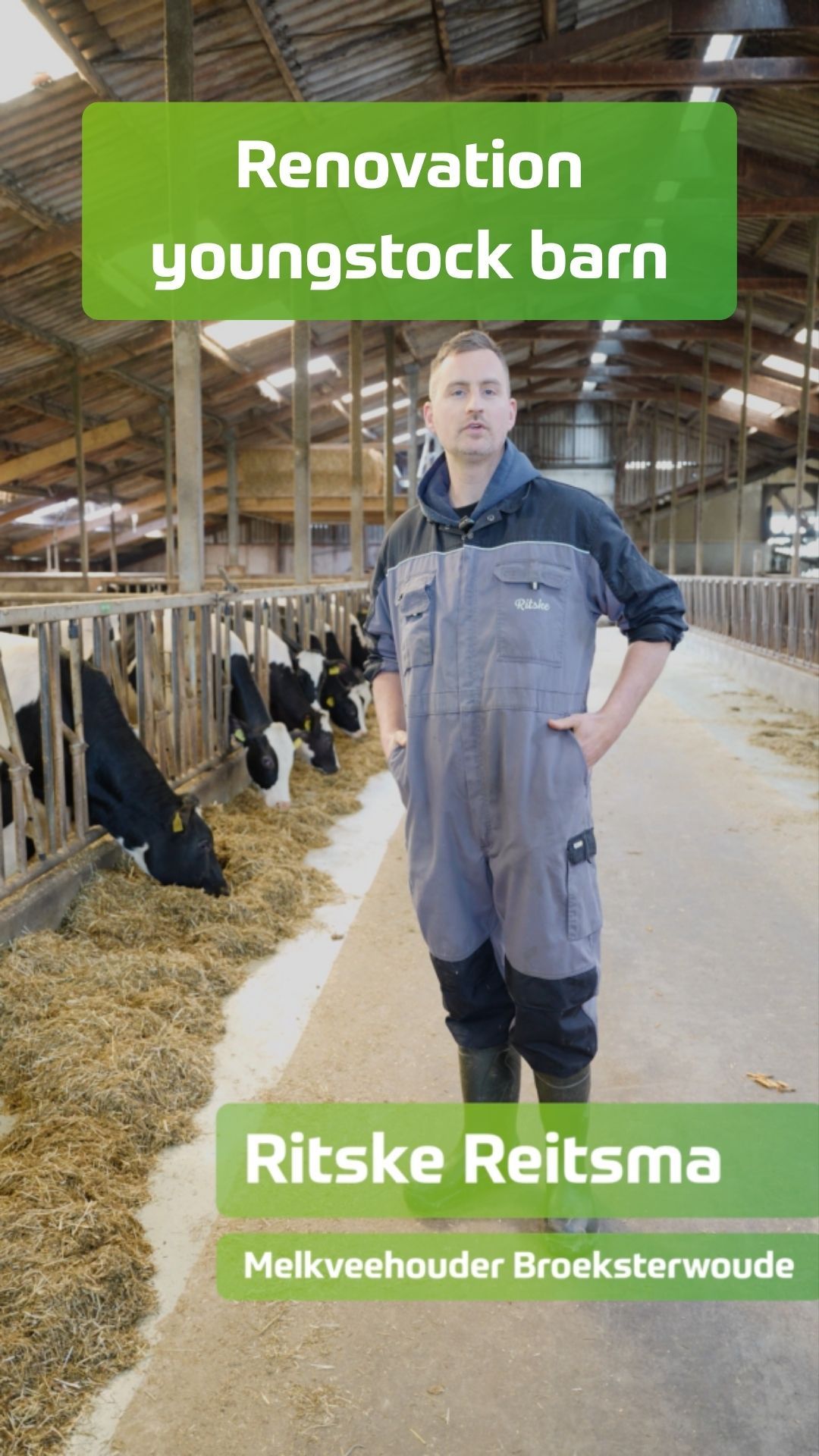 Renovierung Reitsma Komplett