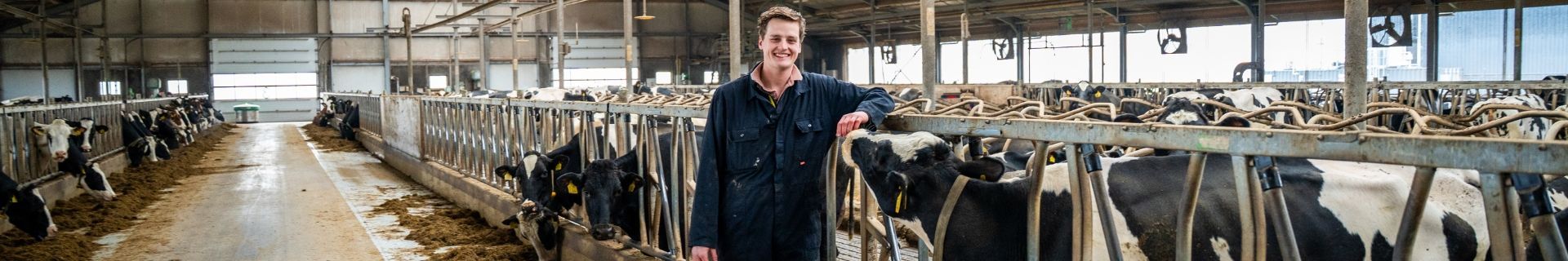 Partnerschaft Van der Wal Boornbergum