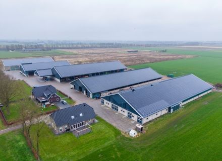 Jungviehstall Vroege