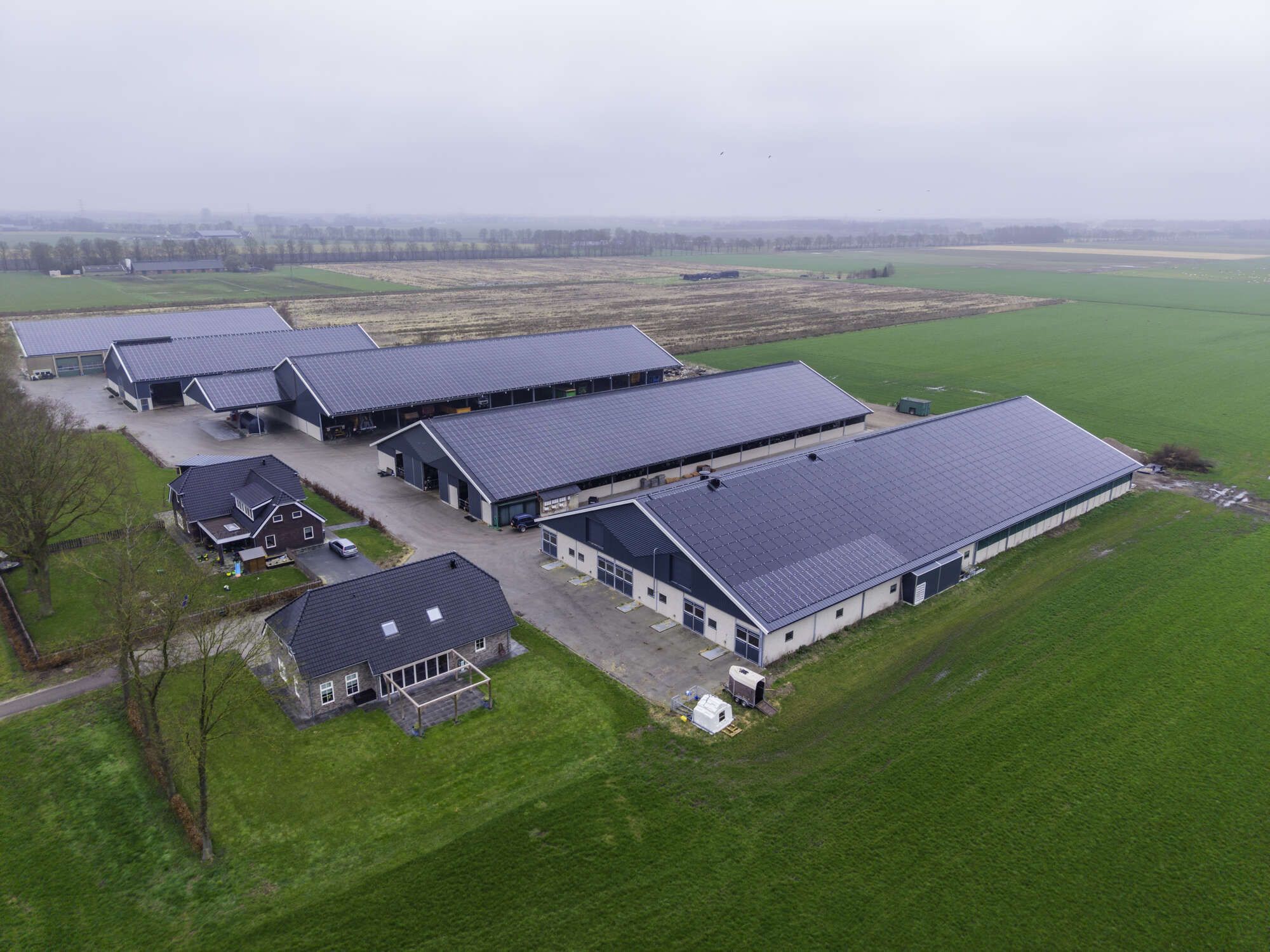 Jungviehstall Vroege